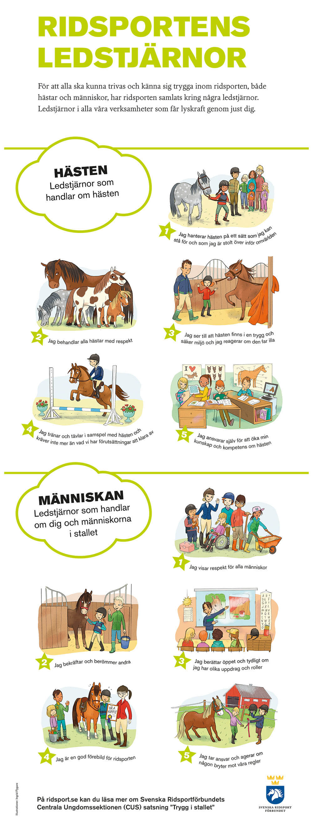 Ridsportens ledstjärnor för barn - plansch (10 st)