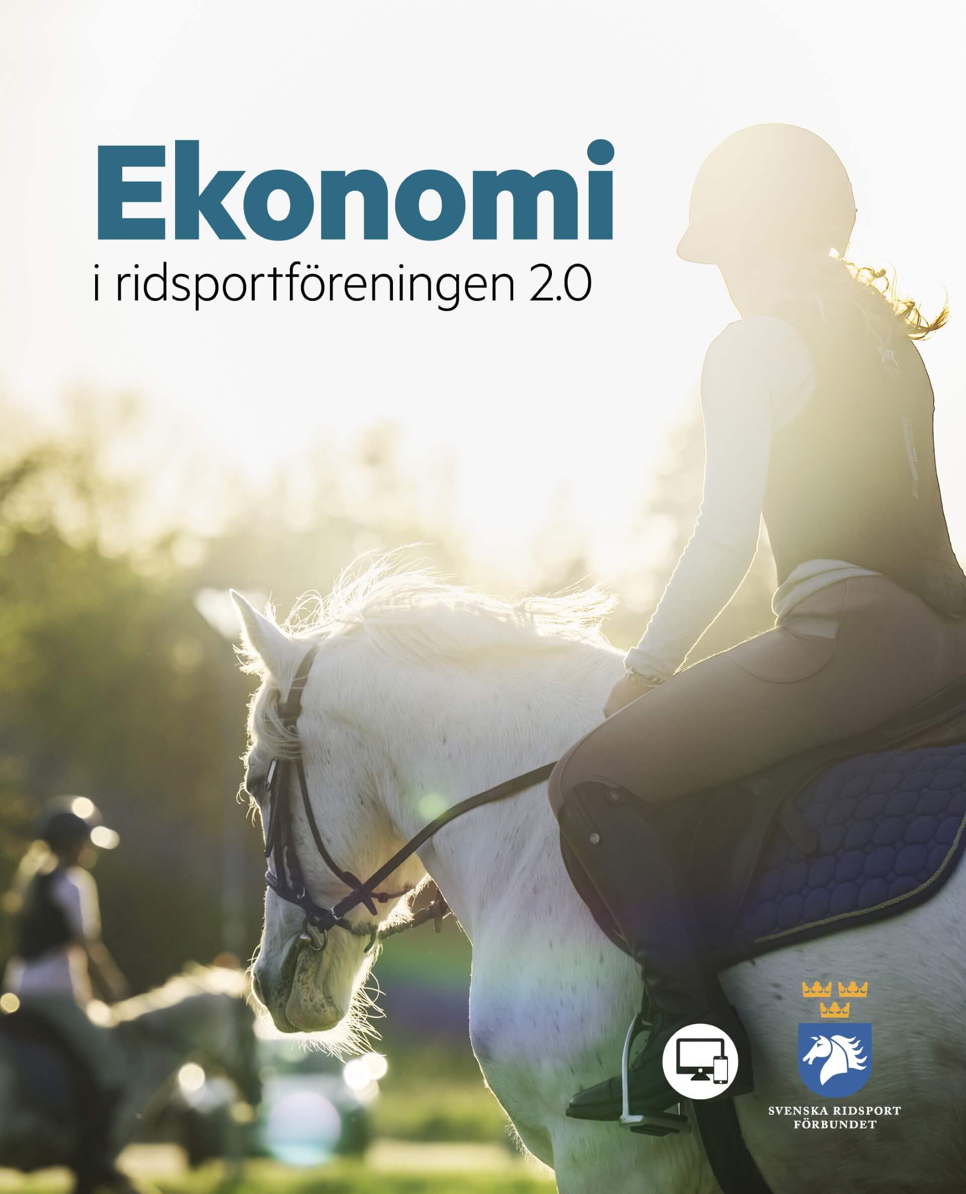 Ekonomi i ridsportföreningen