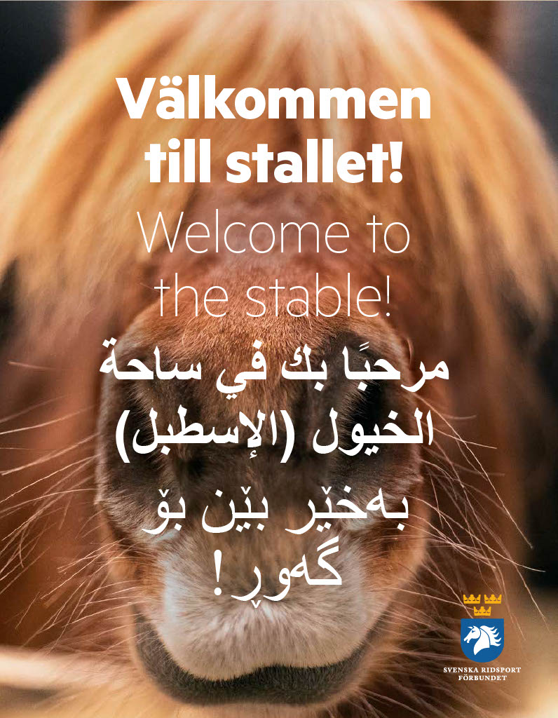 Välkommen till stallet! (10 st)