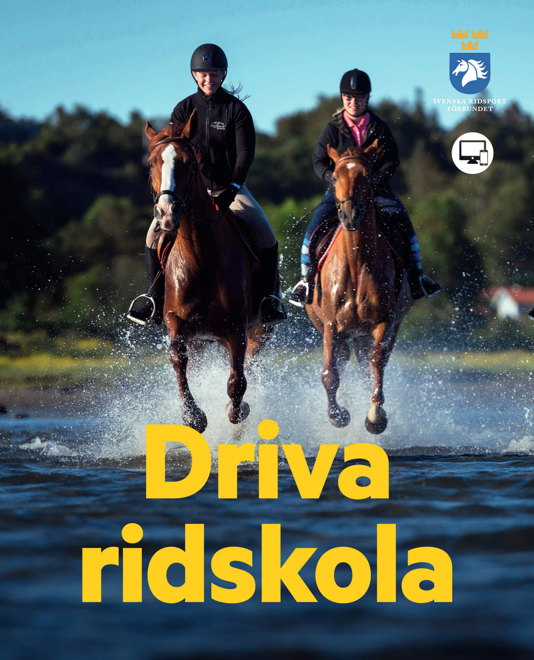 Driva ridskola