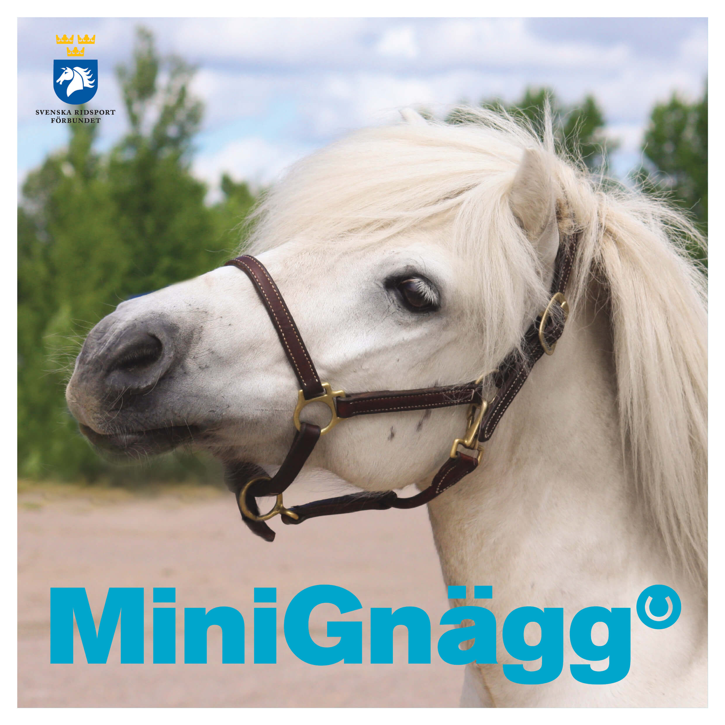 MiniGnägg